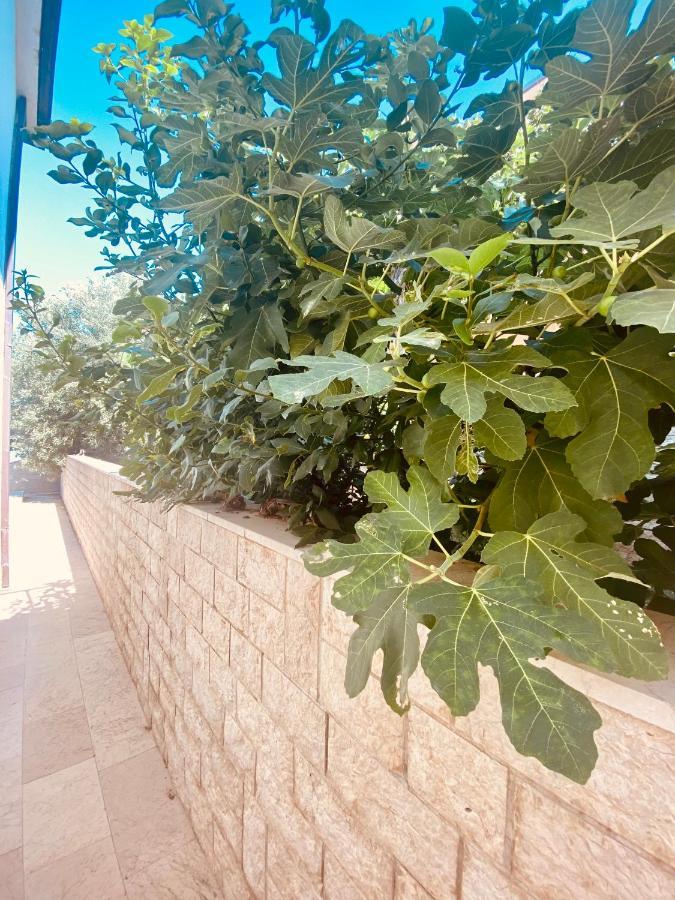 Hotel Buenavista Beach House Trogir Mastrinka 외부 사진
